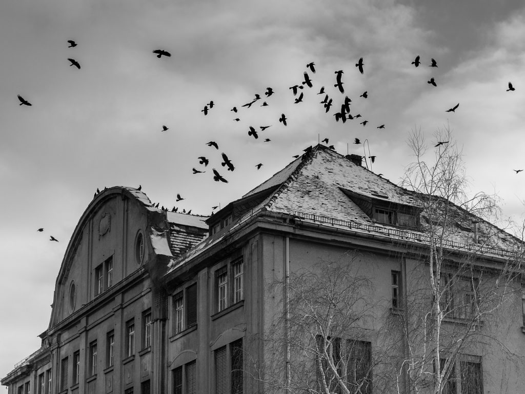 ITF 107 Fear The Reaper Into The Fray Radio itf-107-fear-the-reaper-into-the-fray-radio